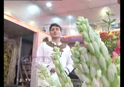 فیتیله 1394/01/21 - 14 - فیتیله محبت - یگانه سادات